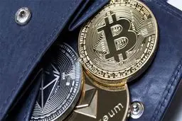 معرفی کیف پول ارز دیجیتال  و انواع آن