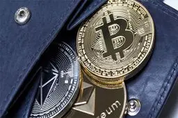 معرفی کیف پول ارز دیجیتال  و انواع آن