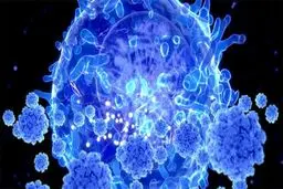 بالاخره طول عمر کرونا روی سطوح چقدر است؟