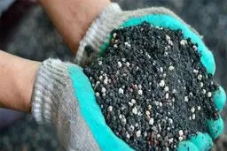 افزایش ۴ تا ۵ برابری قیمت کود شیمایی