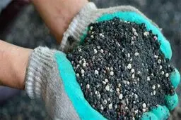 افزایش ۴ تا ۵ برابری قیمت کود شیمایی