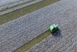 آمریکا به دنبال تحریم واردات کتان از چین است