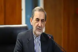 ولایتی: پارس کردن‌های آمریکا به جایی نمی‌رسد