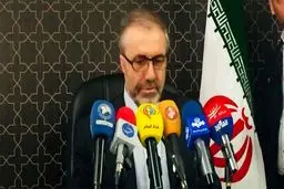 ذوالفقاری اعلام کرد: موافقت عراق با اعزام ۱۵۰۰ زائر اربعین از ایران