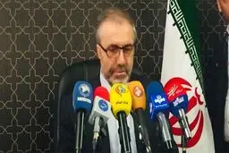 ذوالفقاری اعلام کرد: موافقت عراق با اعزام ۱۵۰۰ زائر اربعین از ایران