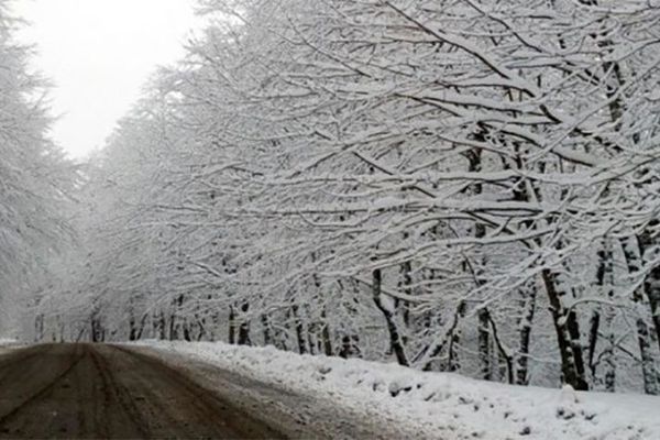 هشدار نارنجی هواشناسی برای شمال و شرق کشور