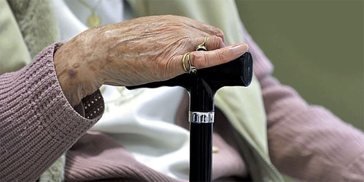 سالمندان نیمی از بیماران کرونایی کشور