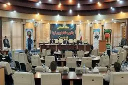 نمکی: ۲۷ درصد از یک میلیارد دلار را دریافت کردیم