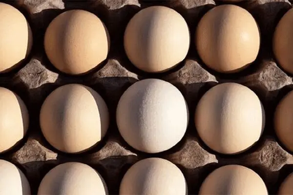 قیمت تخم مرغ بسته بندی تعیین شد