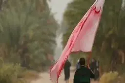 فیلم: نماهنگ اربعینی «به همین راضیم»
