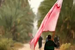 فیلم: نماهنگ اربعینی «به همین راضیم»