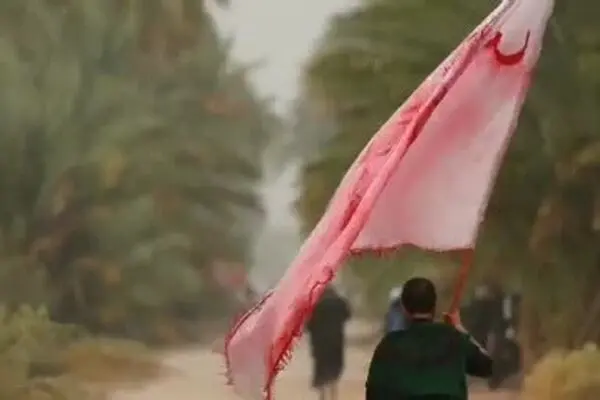 فیلم: نماهنگ اربعینی «به همین راضیم»
