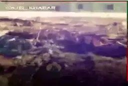 فیلم: در کربلای خان طومان چه گذشت؟