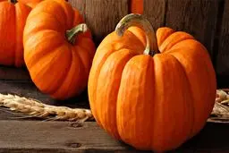 اینفوگرافیک: خاصیت باور نکردنی کدوحلوایی