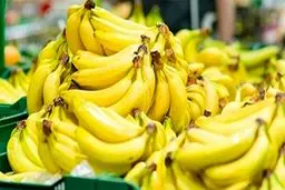 فروش میلیاردی مجوز واردات موز از شایعه تا واقعیت