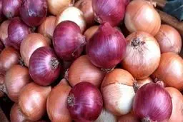 احتکار ۴۰۰ تن پیاز لو رفت