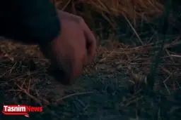 فیلم: هشت پیکر می‌رود سوی بهشت