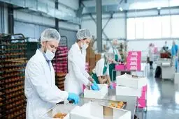 بسته‌های یخ زده غذایی هم می‌توانند کرونا را منتقل کنند