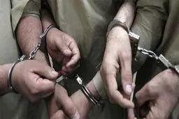 کشف ۷۳ درصد سرقت ها در پایتخت