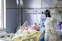 نیمی از فوتی‌های کرونا در تهران