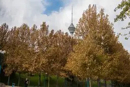 کیفیت هوای تهران در حد قابل قبول