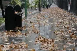 ورود سامانه بارشی جدید به کشور؛ برف، باران و وزش باد شدید در چند استان