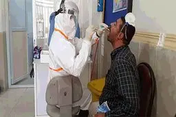 تست پی‌سی‌آر ارزان می‌شود