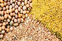 چه کسی غذای حیوانات را می‌خورد