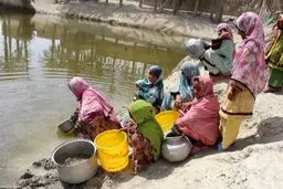 هوتک‌ها همچنان جان می‌ستانند؛ عضو شورای پلان: مسئولان حساسیتی به مشکلات هوتک ها ندارند