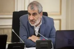 کدخدایی: طرح تامین کالاهای اساسی به شورای نگهبان ارسال نشده است