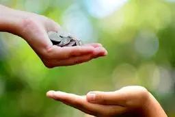 بیان ارزش صدقه در آیه‌‌ای از قرآن کریم