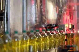 نان دلال‌ها در روغن افتاد!