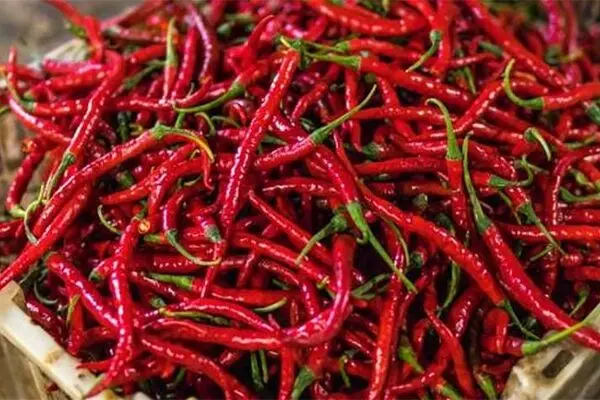 فلفل قرمز مرگ قلبی را کاهش می‌دهد