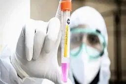 برای سفر باید تست کرونا داد؟