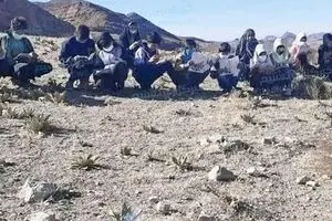 دانش‌آموزانی که برای درس خواندن سر به کوه گذاشتند!
