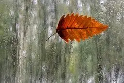 افزایش ۹.۲ درصدی تردد در جاده‌های کشور!