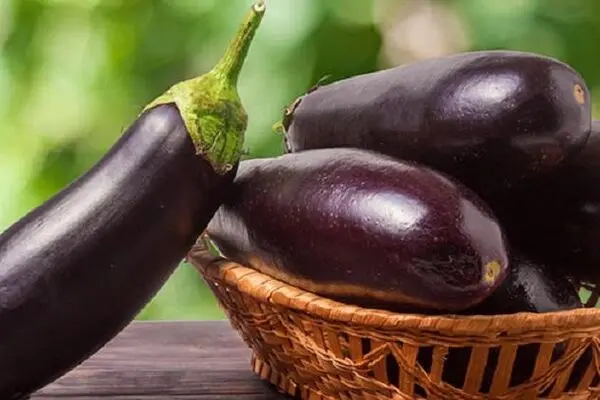 عکس: توزیع بادمجان به عنوان بسته‌ کمک معیشتی در بوشهر