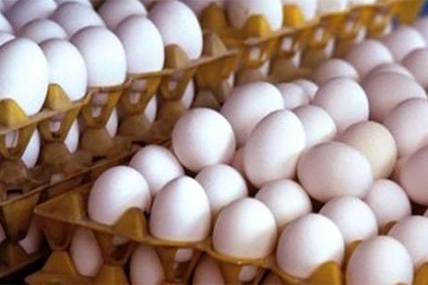 تخم‌مرغ نباید بالاتر از ۲۹ هزار تومان عرضه شود