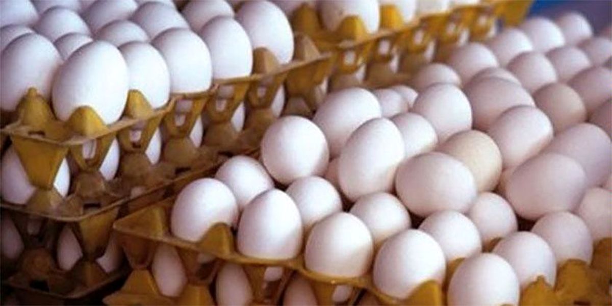 تخم‌مرغ نباید بالاتر از ۲۹ هزار تومان عرضه شود