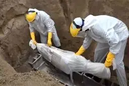 کرونا جان ۲۰ هزار تهرانی را گرفت