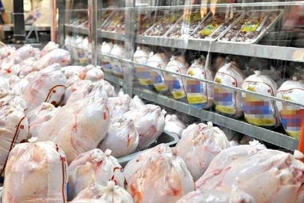 ۱۶۰۰ تن مرغ منجمد در تهران توزیع می‌شود