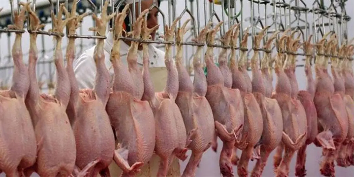 وعده های سرخرمن مسئولین برای ارزانی مرغ