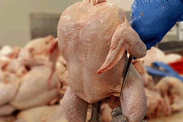 کاهش ۱۰ هزار تومانی قیمت مرغ در بازار