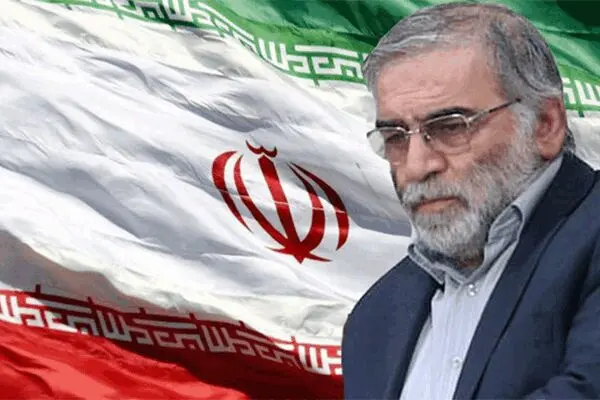 افغانستان ترور شهید فخری‌زاده را محکوم کرد