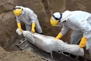 ساخت هزاران قبر ویژه کرونا در بهشت زهرا (س)