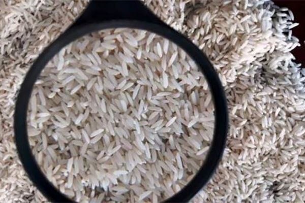 قیمت برنج وارداتی ۱۴۳ درصد افزایش داشت
