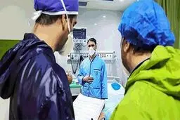 مردانی: درمان کرونا با گیاهان دارویی امکان پذیر نیست