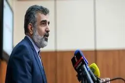کمالوندی: احیای قلب رآکتور اراک در دو ماه قابل انجام است