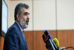 کمالوندی: احیای قلب رآکتور اراک در دو ماه قابل انجام است