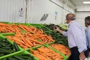 بازار هویج ملتهب شد